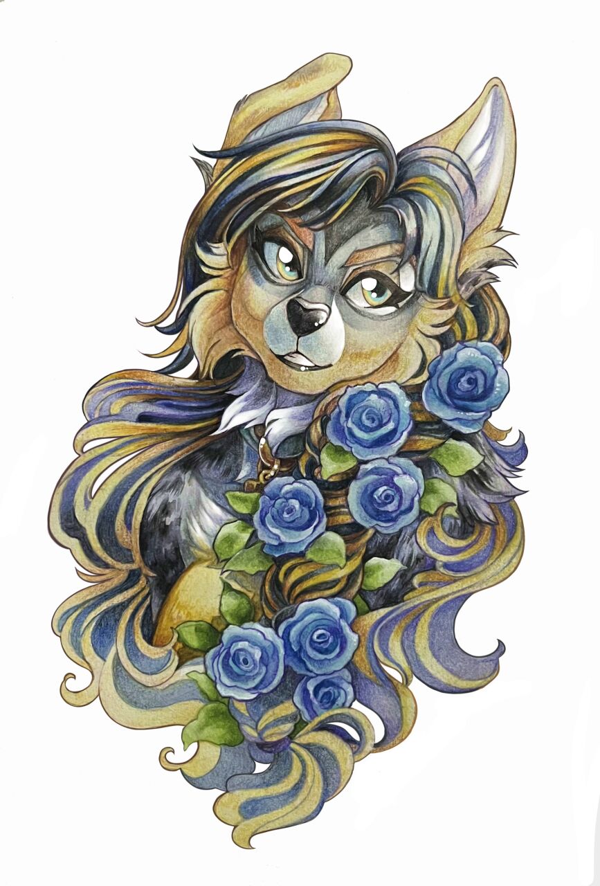 Cockiestspaniel Gallery page 5 full