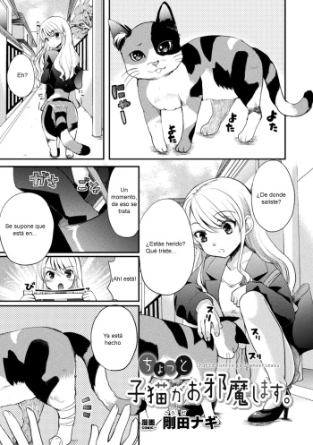 [Gouda Nagi] Chotto Koneko ga Ojamashimasu [Spanish] [B.M.] cover