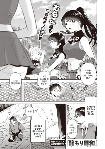 [Momoko] Hajimari no Natsu (COMIC Kairakuten 2022-10) [Korean] [팀 털난보리] [Digital] cover