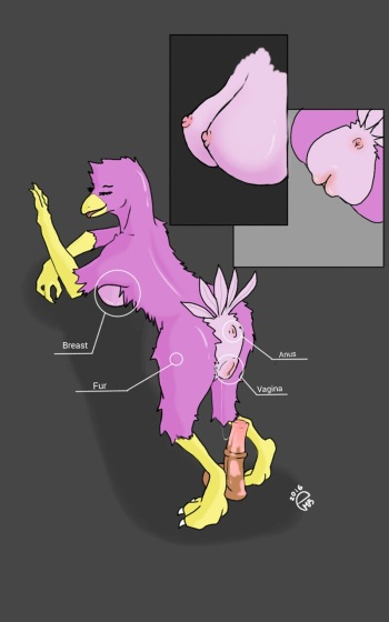 [eatmybuns] Creature Studies cover