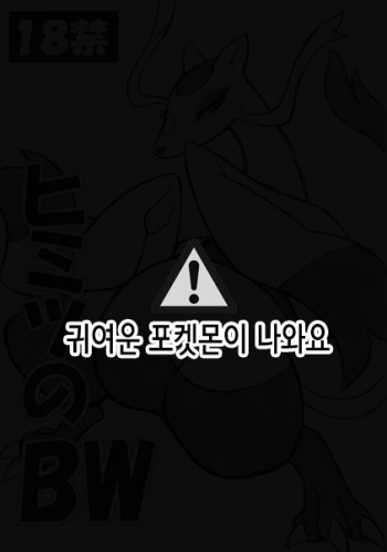 (Fur-st) [Mayoineko (Nakagami Takashi)] Himitsu no BW (Pokémon) [Korean] cover