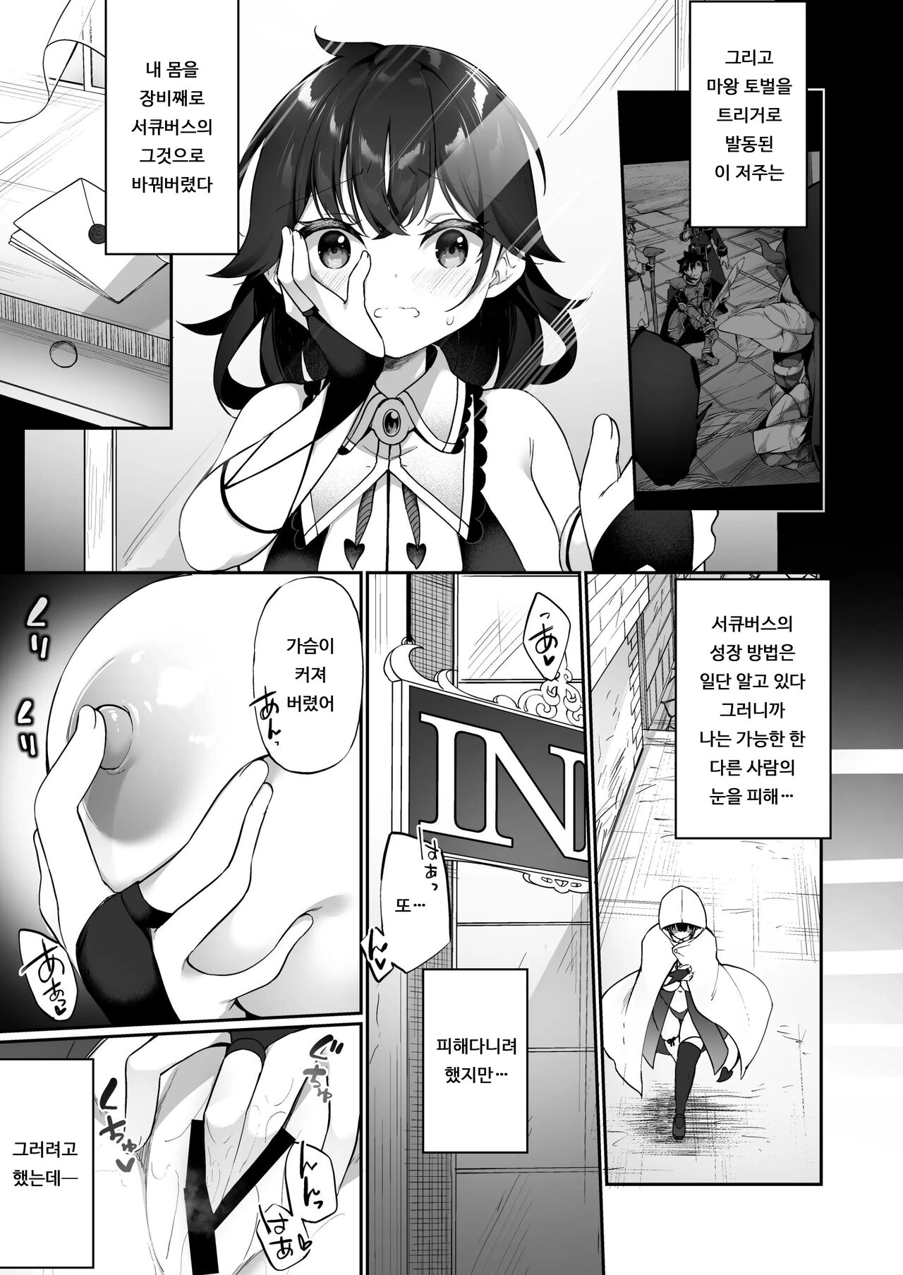 Maou ni Idonda Yuusha ga Succubus​ ni Ochite iku Hanashi | 마왕에게 이긴 용사♂가 서큐버스로 타락하는 이야기 page 11 full