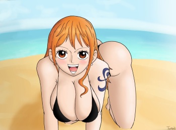 [twitbald] Nami on all fours (One Piece) cover