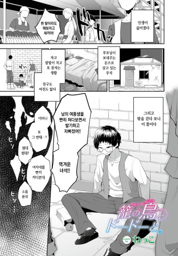 [Nekko] Kago no Tori to Dodo to | 새장의 새와 도도와 (Dungeon Kouryaku wa SEX de!! Vol. 9) [Korean] [Digital] cover