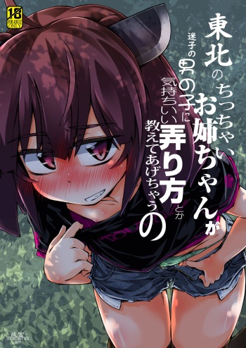 [Narumiya (Narumiya)] Tohoku no Chicchai Onee-chan ga Maigo no Otokonoko ni Kimochi Ii Ijirikata toka Oshiete Agechau no | The small Touhoku onee-chan teaches a lost kid about things that feel good (VOICEROID) [English] [Tabunne Scans] [Digital] cover