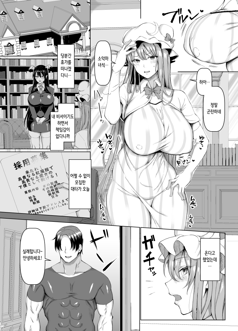 Seishorikei Patchouli-sama | 성처리계 파츄리님 page 3 full