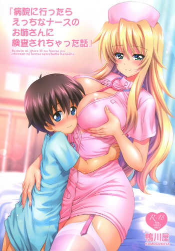 [Kamogawaya (Kamogawa Tanuki)] Byouin ni Ittara Ecchi na Nurse no Onee-san ni Kensa sarechatta Hanashi cover