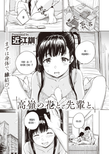 [Oumikun] Takane no Hana to, Senpai to, (COMIC X-EROS #97) [Korean] [팀 털난보리] [Digital] cover