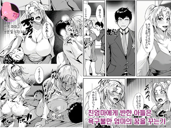 [AKYS Honpo] Nikushin ni Horeteiru Musuko ha Yokkyuu Fuman no Haha no Yume wo Miru ka | 친엄마에게 반한 아들은 욕구불만 엄마의 꿈을 꾸는가[Korean][팀 마스터] cover