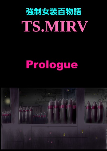 Strong Transvestite 100 Stories TS.MIRV cover