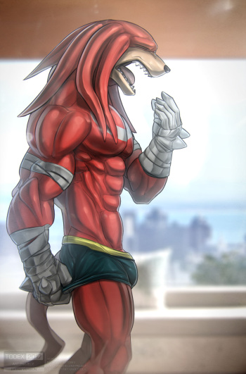 [Todex] Knuckles (Sonic the Hedgehog) cover