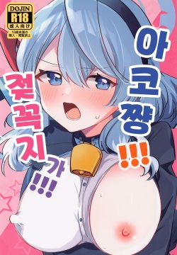 Ako-chan!!! Chikubi ga!!! | 아코 쨩!!! 젖꼭지가!!!