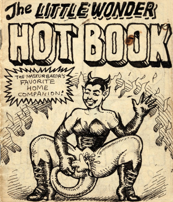 Little Wonder Hot Book cover