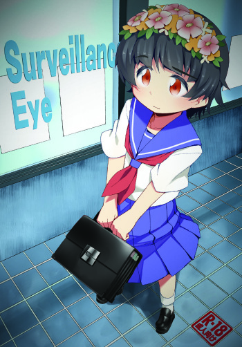 [Tanaka-ke no Kamo (Tanaka Ahiru)] Surveillance Eye (Toaru Kagaku no Railgun) [Digital] cover