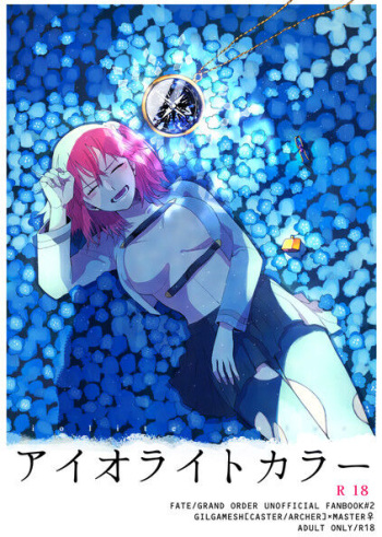 (Go! My Master ver.Girl) [Hanamukenouta (Miyagi)] Iolite Color (Fate/Grand Order) [Sample] cover