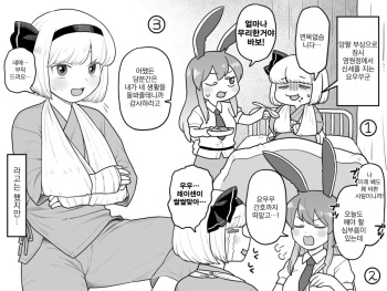 [Babaa no Mitsuboshi Restaurant (Koyama Shigeru)] Myon-chan no hospital life | 묭쨩의 입원생활 (Touhou Project) [Korean] cover
