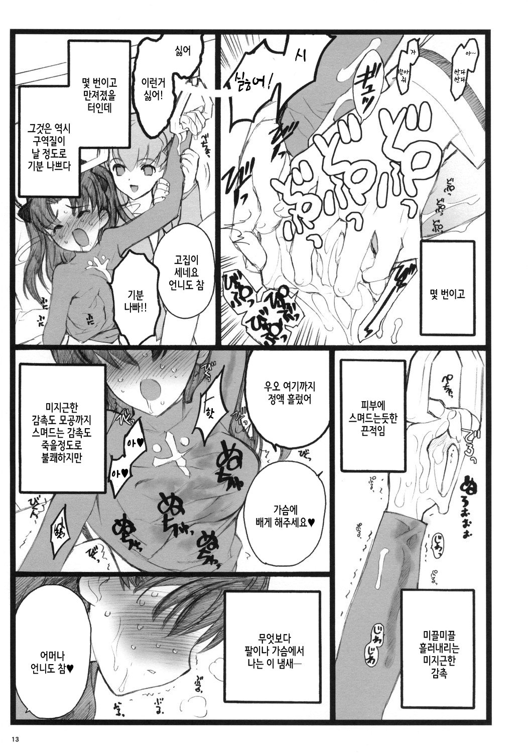 Hyena 2 / Walpurgis no Yoru 2 page 12 full