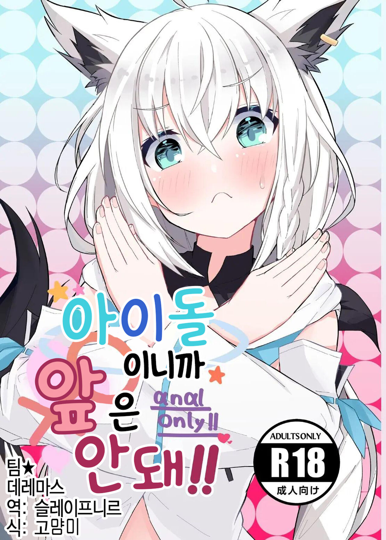 Idol dakara Mae wa Dame!! | 아이돌이니까 앞은 안돼!! page 1 full
