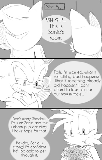 Sonadow Mpreg Birth [JayAero] cover