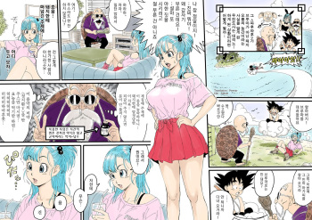 [REDLIGHT] Bulma ✕ Kame-Sennin Last (Dragon Ball) [Korean] cover