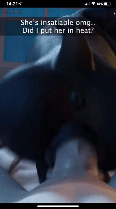 Furjoe0 Impregnating Your Dog page 11 full
