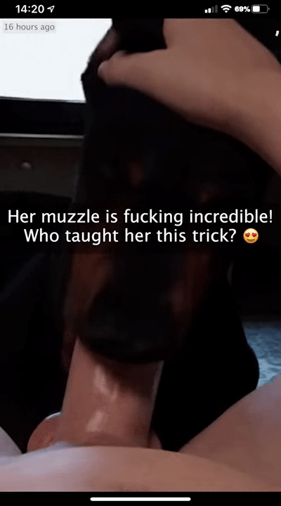 Furjoe0 Impregnating Your Dog page 4 full
