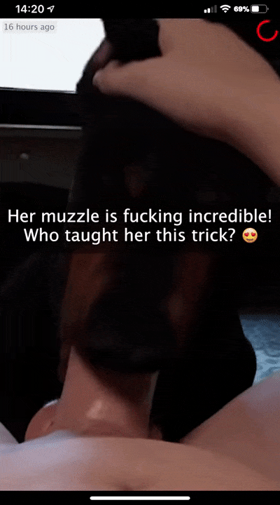 Furjoe0 Impregnating Your Dog page 6 full