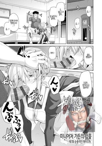 [Nikusoukyuu.] Hakoniwa ni Saku Mesu no Hana Ch.07 / 미니어처 가든의 암꽃 제7화 (COMIC Grape Vol. 59) [Korean] cover