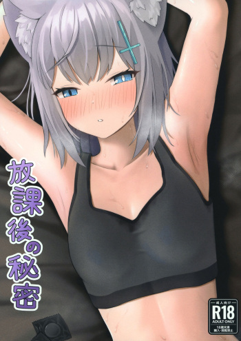 [Tianoblue] Houkago no Himitsu (Blue Archive) [Digital] cover