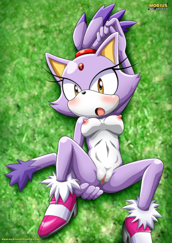 Mobius Unleashed: Blaze the Cat cover