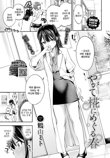 [Tsuruyama Mito] Yagate Momiji ni Meguru Haru (COMIC BAVEL 2022-12) [Korean] [팀 털난보리] [Digital] cover