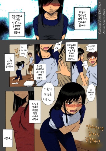 Hinnyuu Kyonyuu History(Full color.ver) | 빈유 거유 히스토리 cover