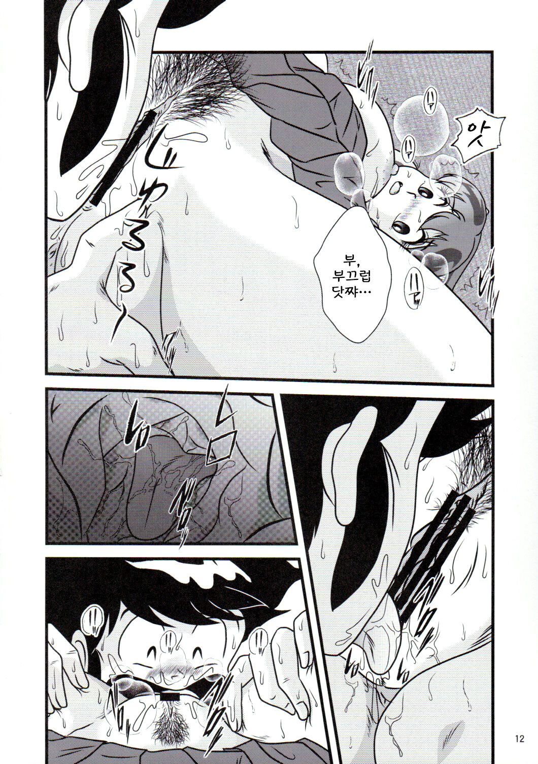 Fairy 20 page 12 full