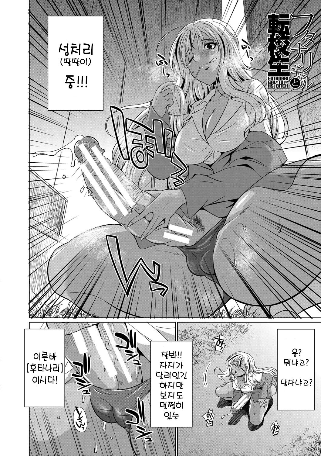 Futanari Gal VS Bitch Shimai | 후타나리 갸루와 빗치 자매 page 5 full
