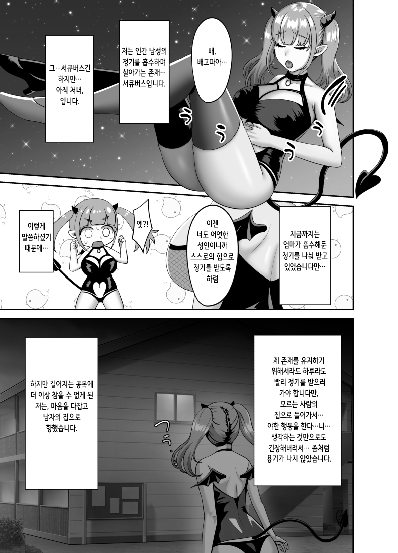 Shojo Succubus wa Onaka ga Suita | 처녀 서큐버스는 배가 고프다 page 3 full