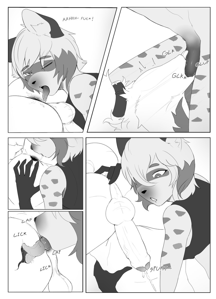BNA page 12 full