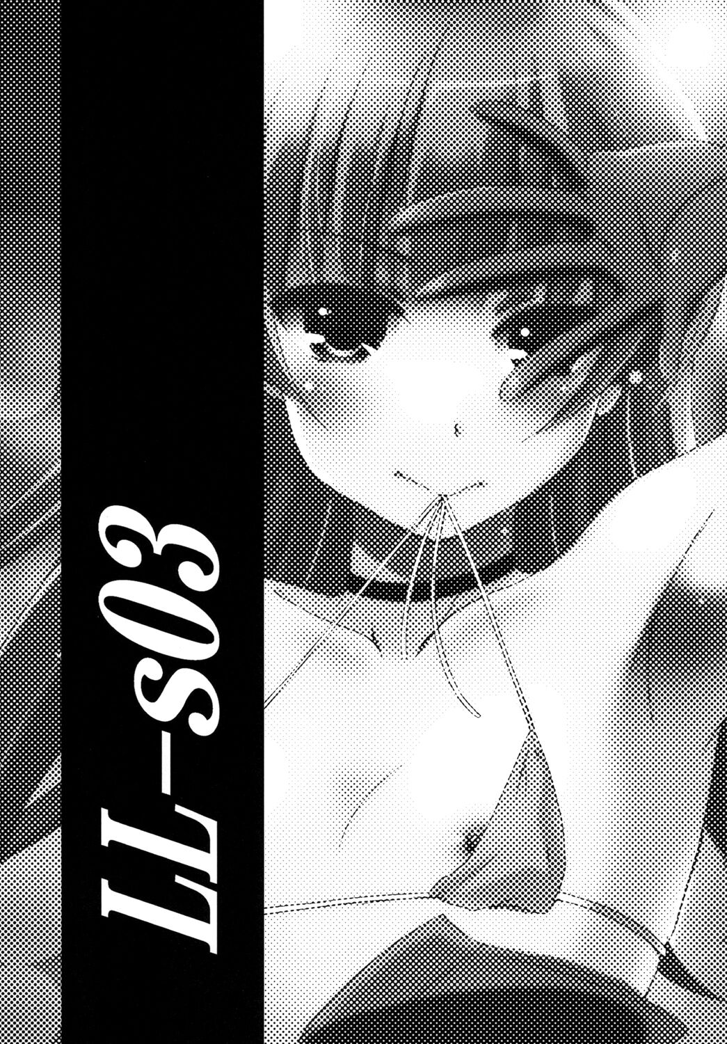 LL-SO3 page 3 full