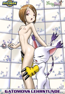 Gatomons Lehrstunde
