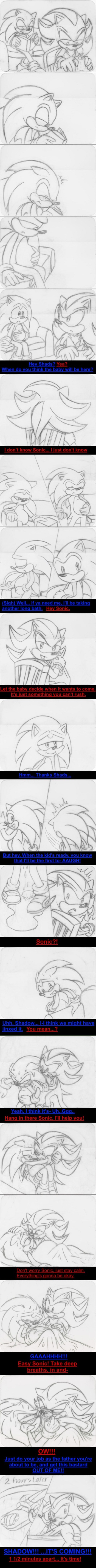 Little Hedgehogs [PixTV] cover