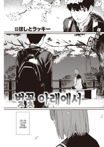 [Hoshi to Lucky] Sakura no Shita de | 벚꽃 아래에서 (COMIC Kairakuten 2022-05) [Korean] [팀 털난보리] [Digital] cover