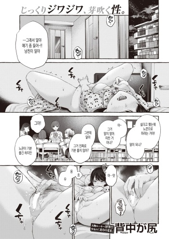 [Senakagashiri] KiminoOokinaIppo | 너의 커다란 한걸음 (COMIC Kairakuten 2022-10) [Korean] [Digital] cover