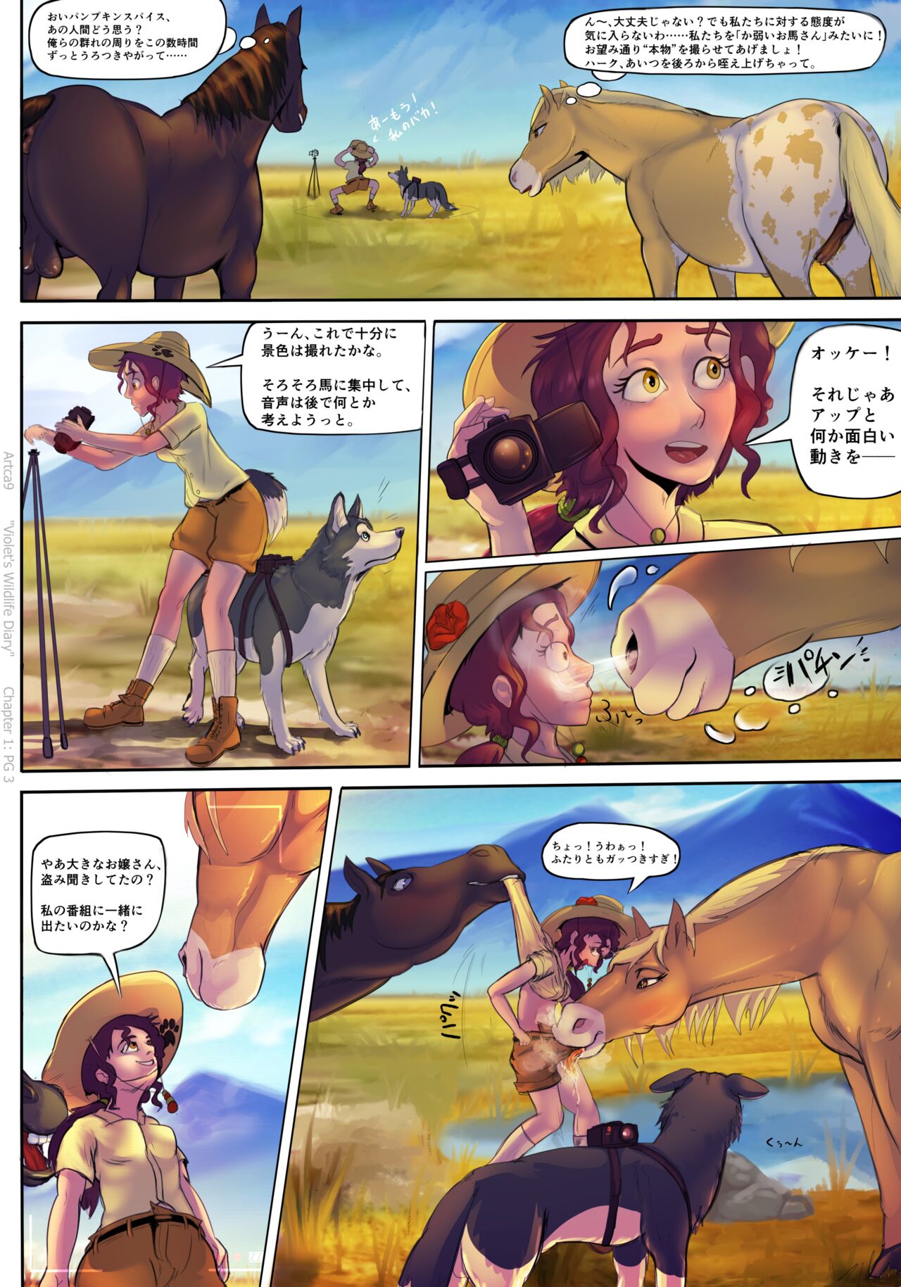 第1話 : コロラドの野生馬 - バイオレットの野生生物日記 page 5 full