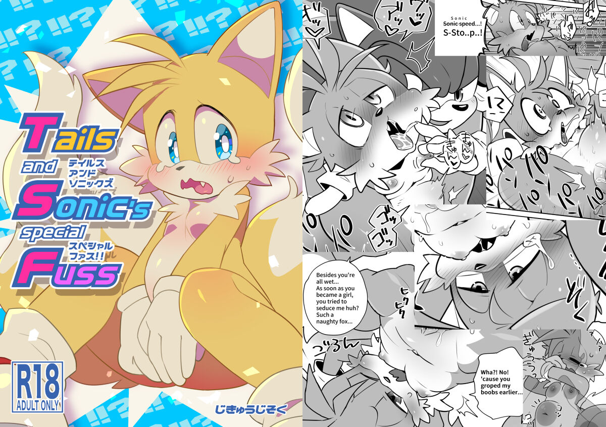 Tails and Sonic's special Fuss sample page 1 full