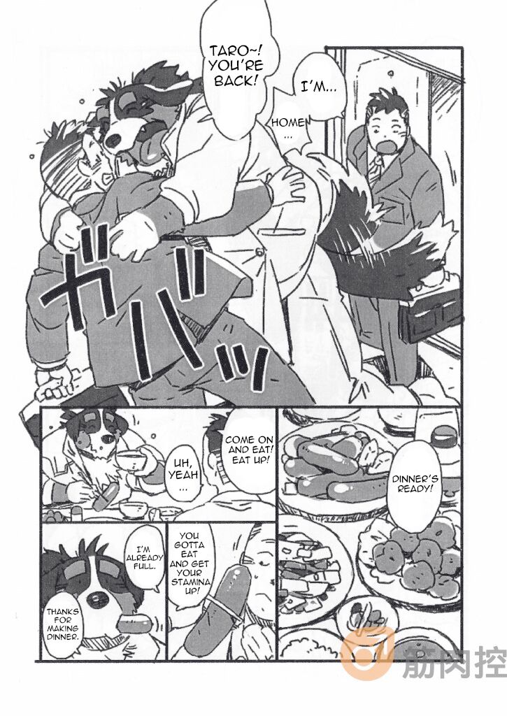 Bernese Bernese page 3 full