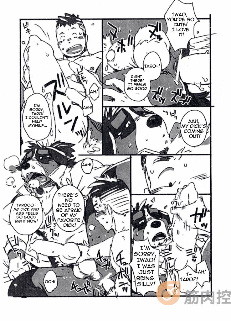 Bernese Bernese page 8 full
