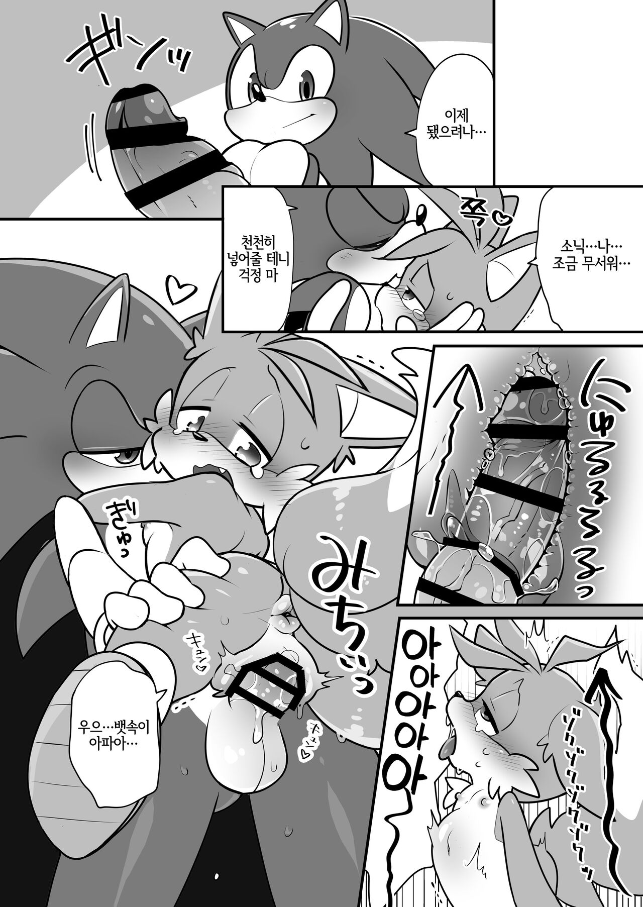 Tails and Sonic's special Fuss page 9 full