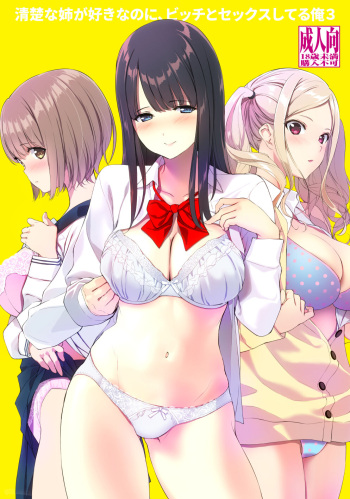 [Ura FMO (Fumio)] Seiso na Ane ga Suki nanoni, Bitch to Sex Shiteru Ore 3 [Digital] cover