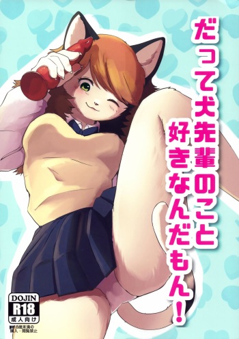 (Kemoket 12) [Kon Juuichibai (Momou)] Datte Inu Senpai no Koto Suki Nanda Mon! cover