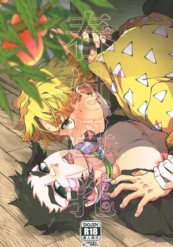 [Mekao (Denmeka)] Haru wa bonyu (Kimetsu no Yaiba) cover