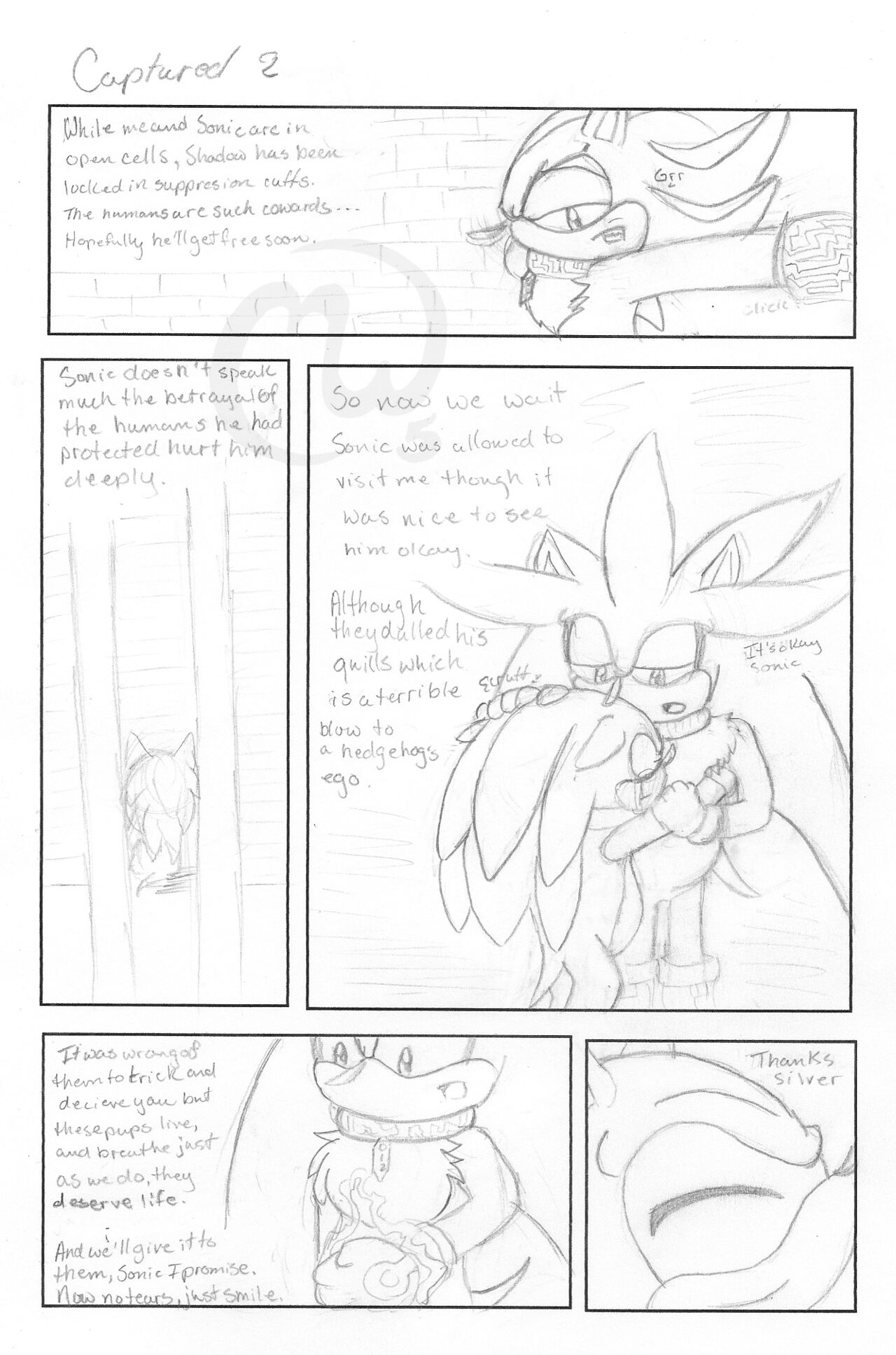 Captured page 2 full